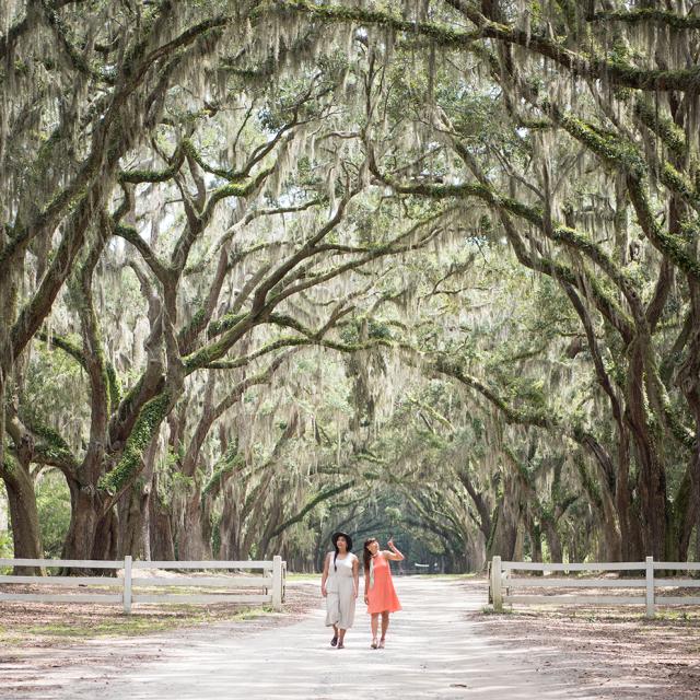 wormsloe-friends-moon-river.jpg