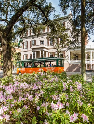 Springtime-Azaleas-in-Savannah.jpg