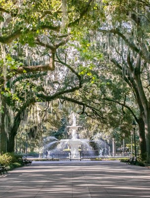 Forsyth Park fountain