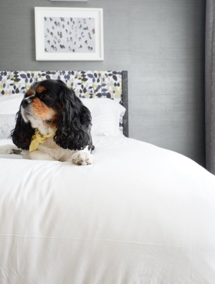 Pet-Friendly Brice Hotel