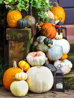 pumpkins_b.howard.jpg