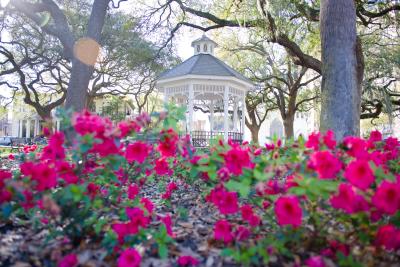 whitefield-square-gazebo.jpg
