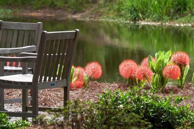 Coastal Georgia Botanical Gardens