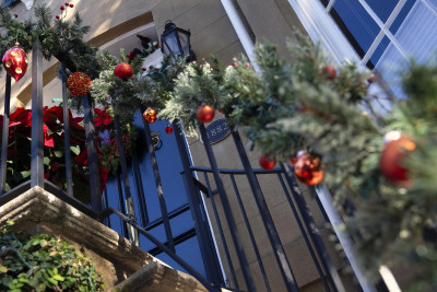 Savannah Holly Days; John Alexander, photographer