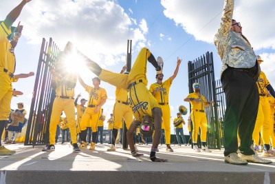 The Savannah Bananas