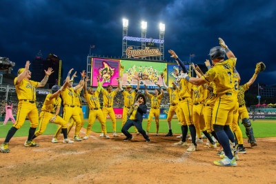 The Savannah Bananas