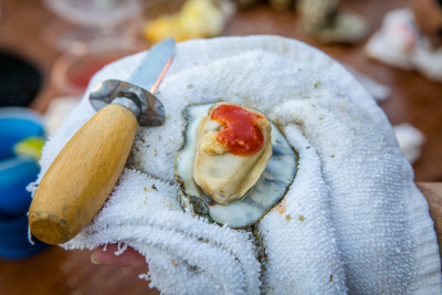 Savannah Oyster Roast