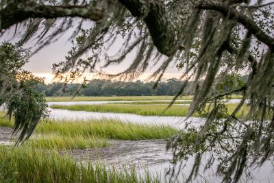 moon-river-marsh-sunset.jpg