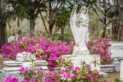 azaleas-bonaventure-cemetery8.jpg