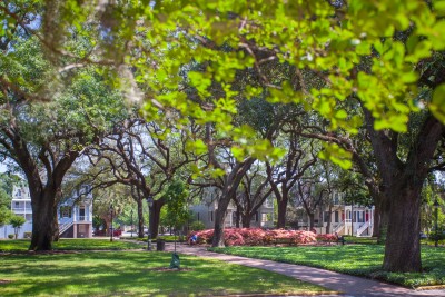 Savannah-square-1.jpg