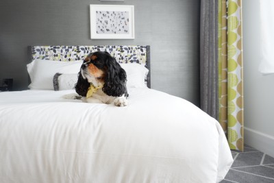 Pet-Friendly Brice Hotel