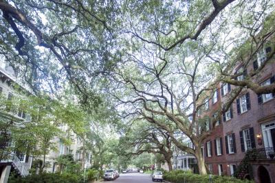 jones-street.jpg