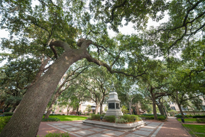 Madison Square Savannah