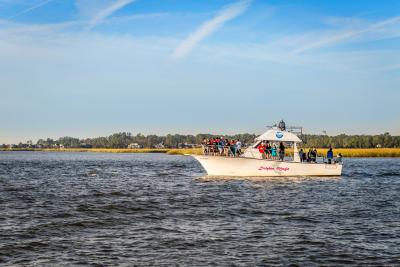 dolphin-magic-cruise.jpg