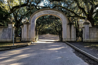 wormsloe-historic-site-savannah-ga.jpg