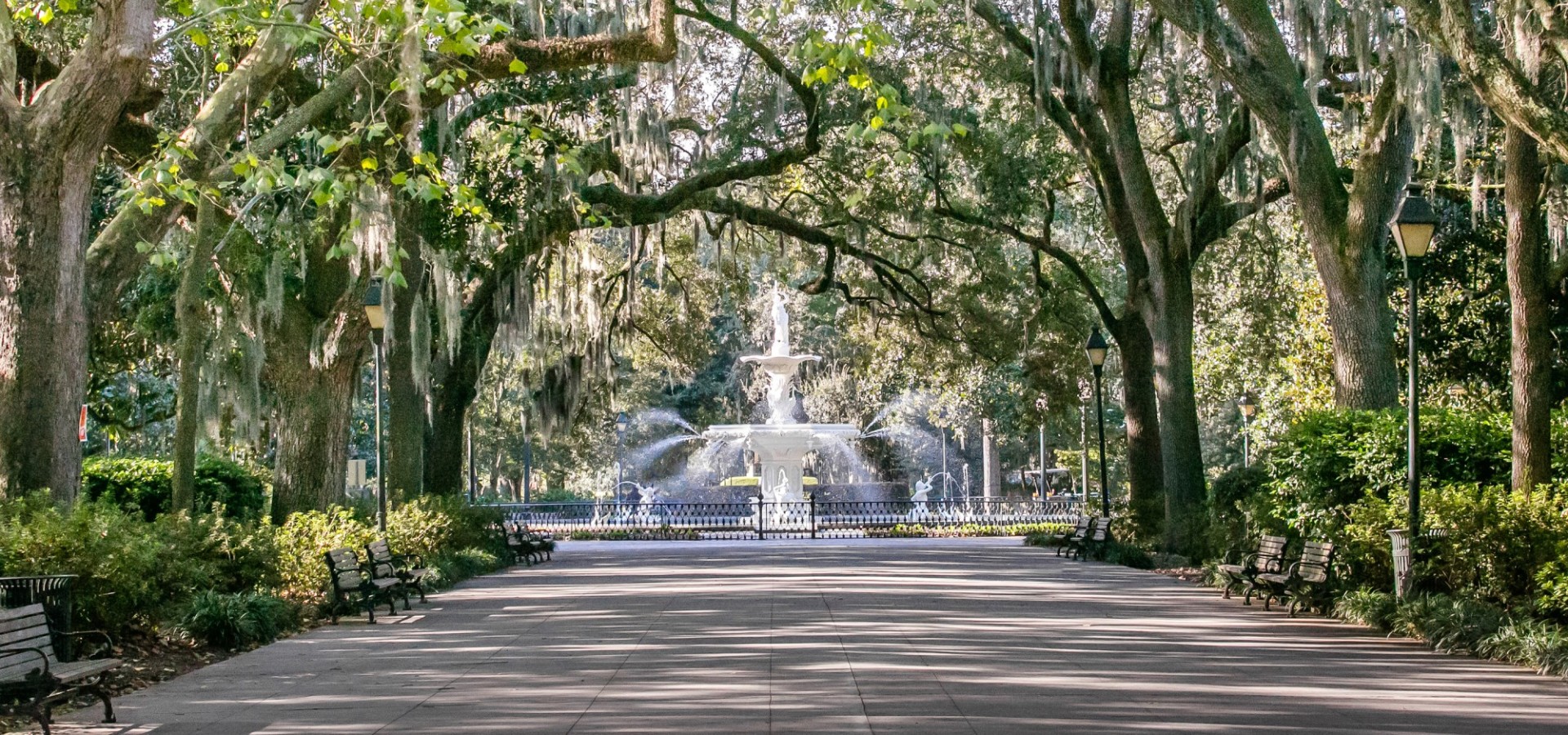 activities in savannah st patricks day