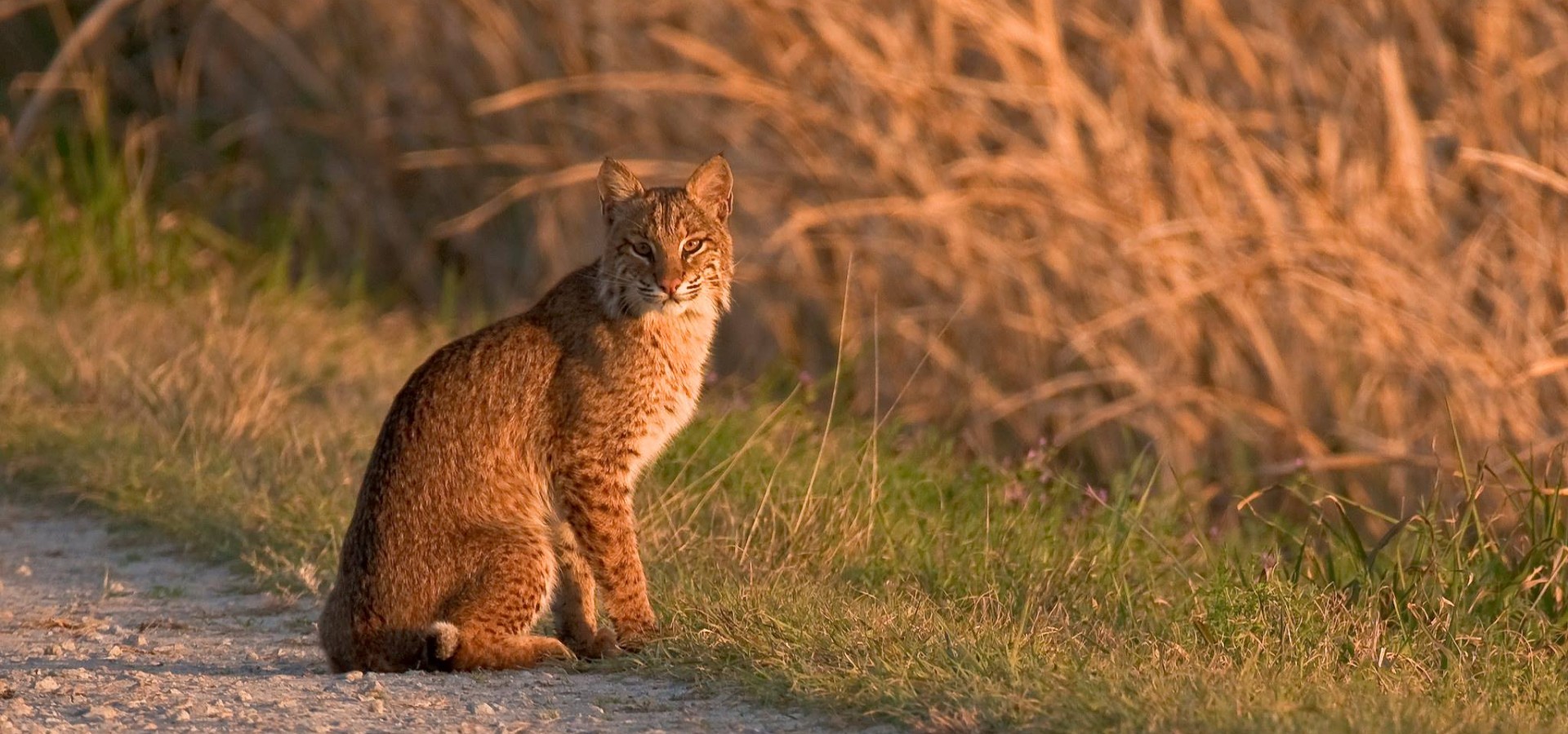 Explore Savannah’s State and National Parks