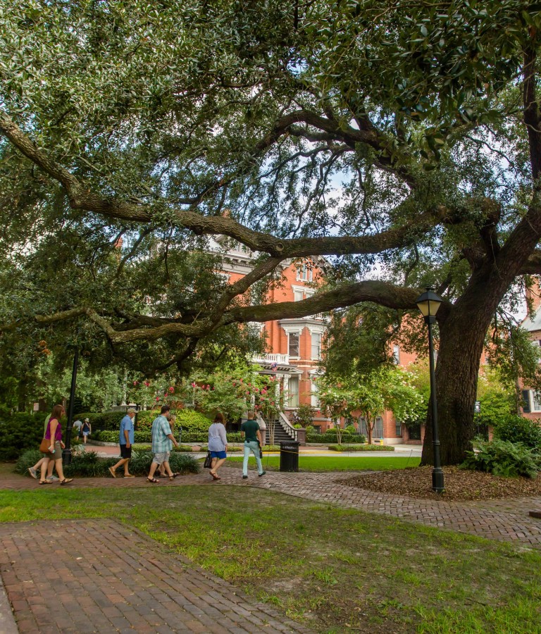 Stroll through picturesque squares.