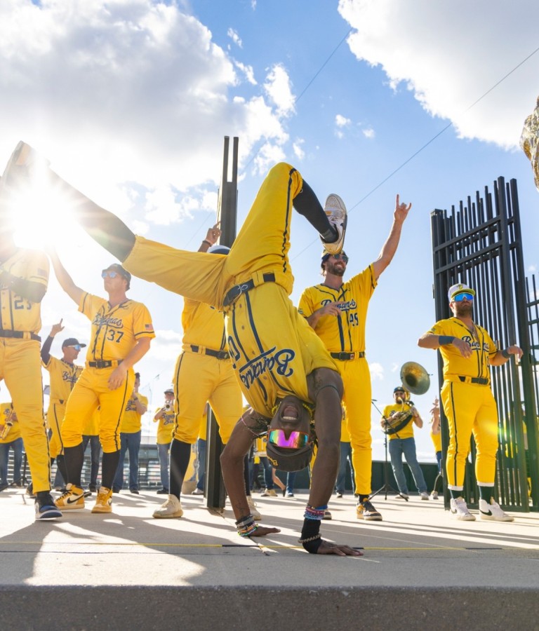 The Savannah Bananas