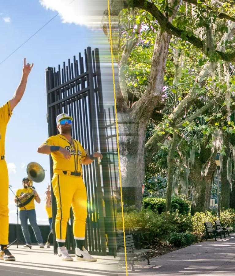 Savannah Bananas players in yellow uniforms dance and perform acrobatics outside Grayson Stadium, alongside a serene tree-lined path leading to the iconic Forsyth Park fountain in Savannah, Georgia.