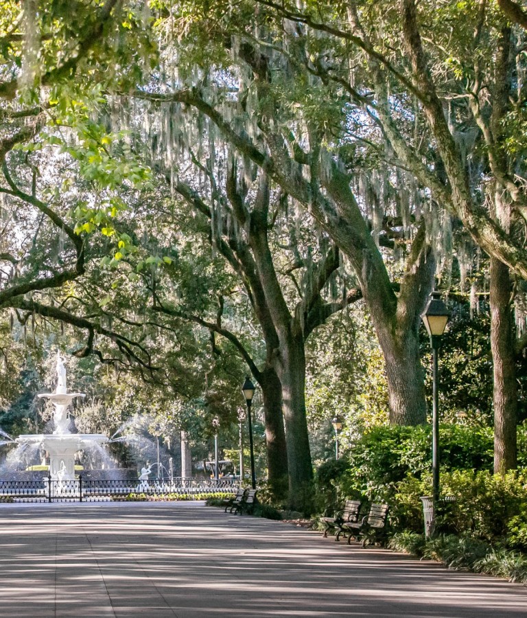 Savannah's Forsyth Park Fountain