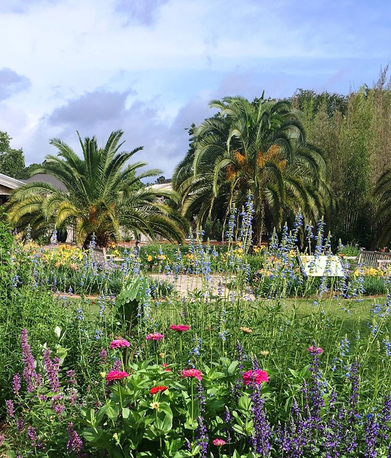 The Coastal Georgia Botanical Gardens