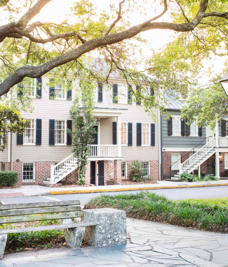 lucky-savannah-1.jpg