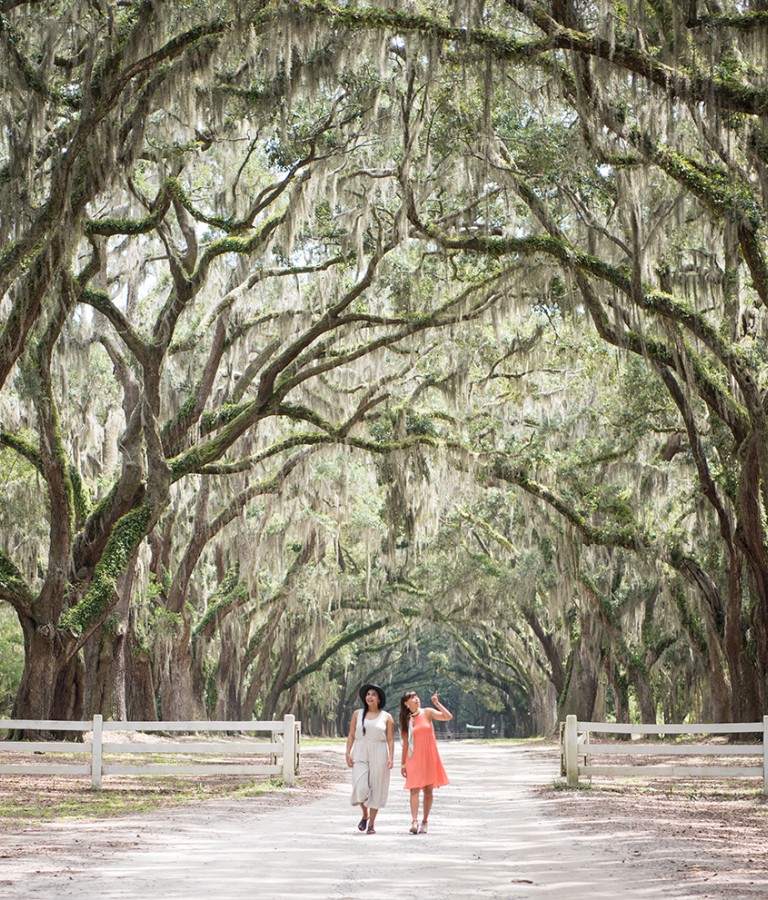 wormsloe-friends-moon-river.jpg