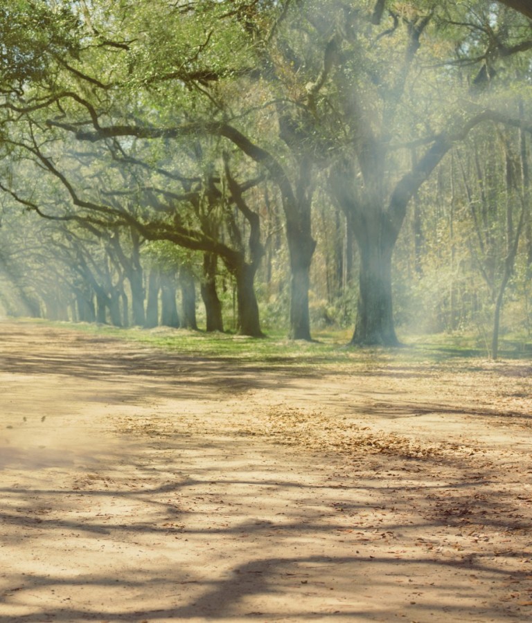 campaign-wormsloe-couple-hero.jpg
