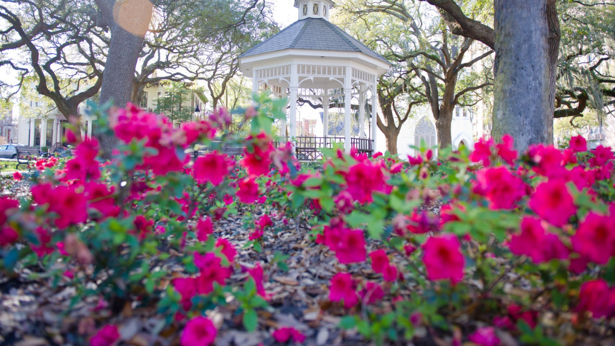 whitefield-square-gazebo.jpg