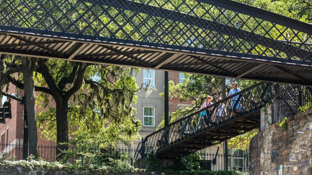 Savannah bridges