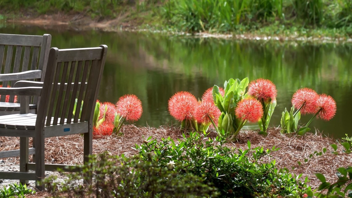 Coastal Georgia Botanical Gardens