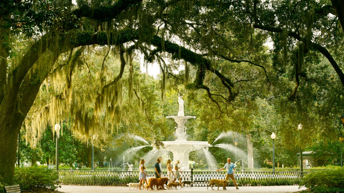 dog tour in forsyth park
