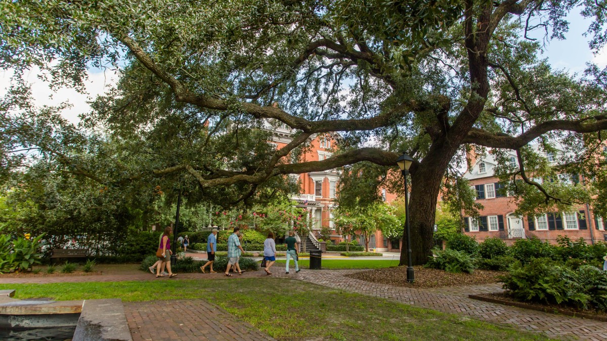 Stroll through picturesque squares.