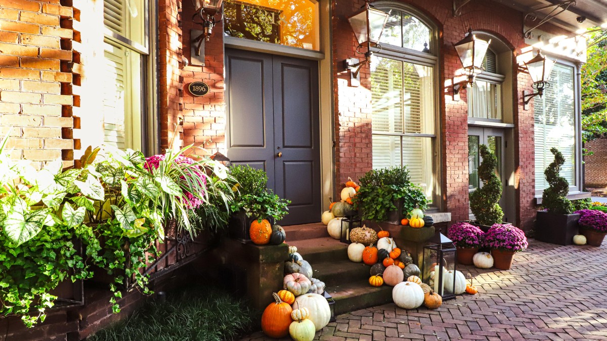 Savannah Fall Pumpkins; Brittany Howard, photographer