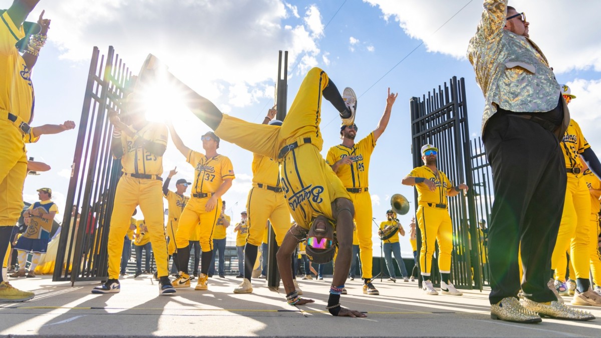 The Savannah Bananas
