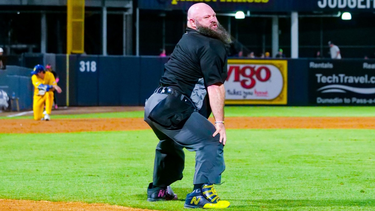 The Savannah Bananas dancing umpire