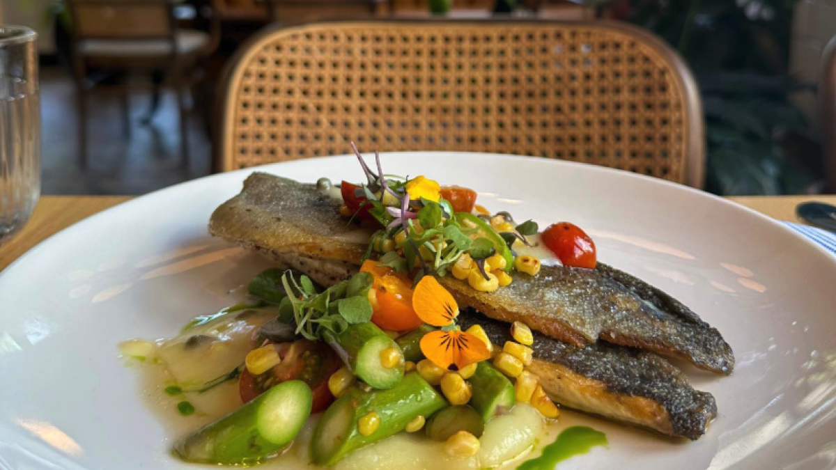 North Carolina rainbow trout with parsnip purée, corn, heirloom tomato, and asparagus in lemon butter