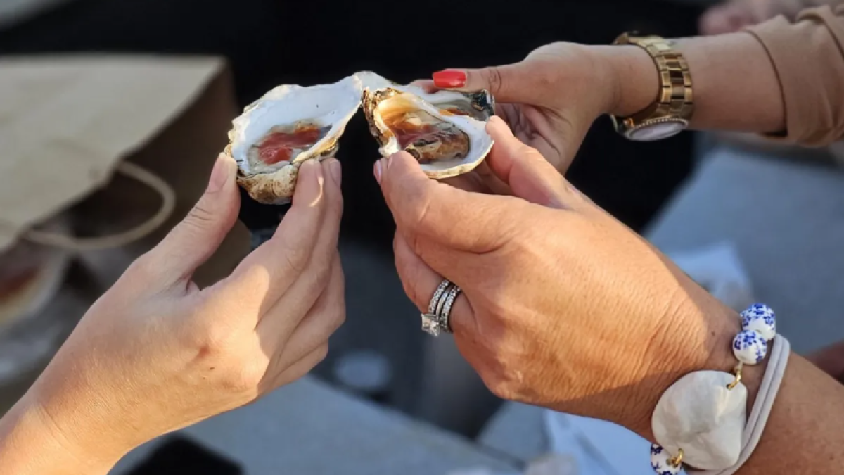 People enjoying oysters on a half shell.