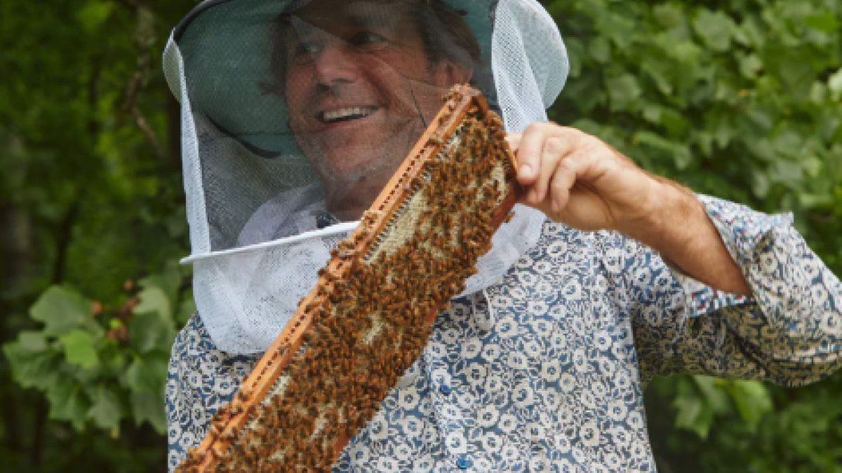A honey bee harvester holding a honeycomb.