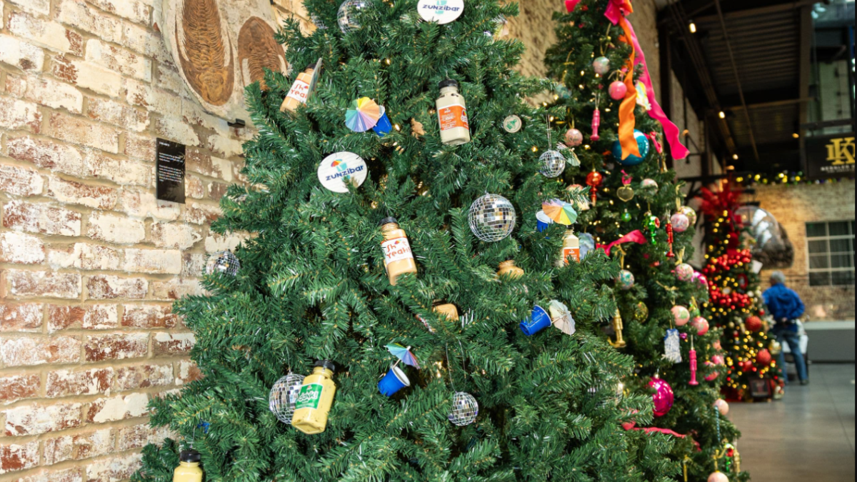 A row of different Christmas Trees decorated in playful ways.