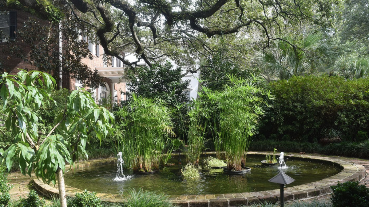 An impressive garden home pond surrounded by green foliage.