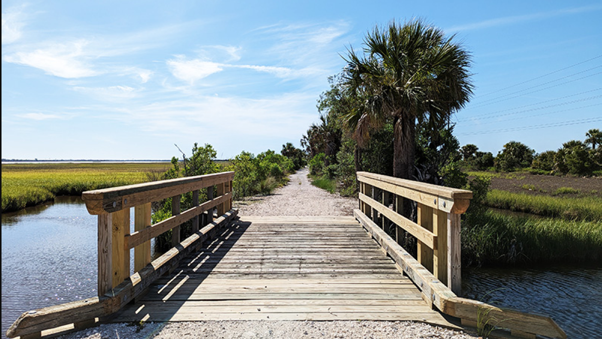 Bridge and path along McQueen’s Island Trail surrounded by marsh and coastal landscape