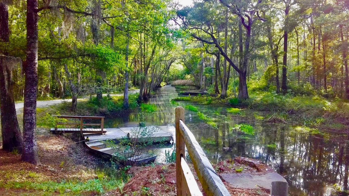Boardwalk and trail along the Savannah & Ogeechee Canal surrounded by trees and calm water