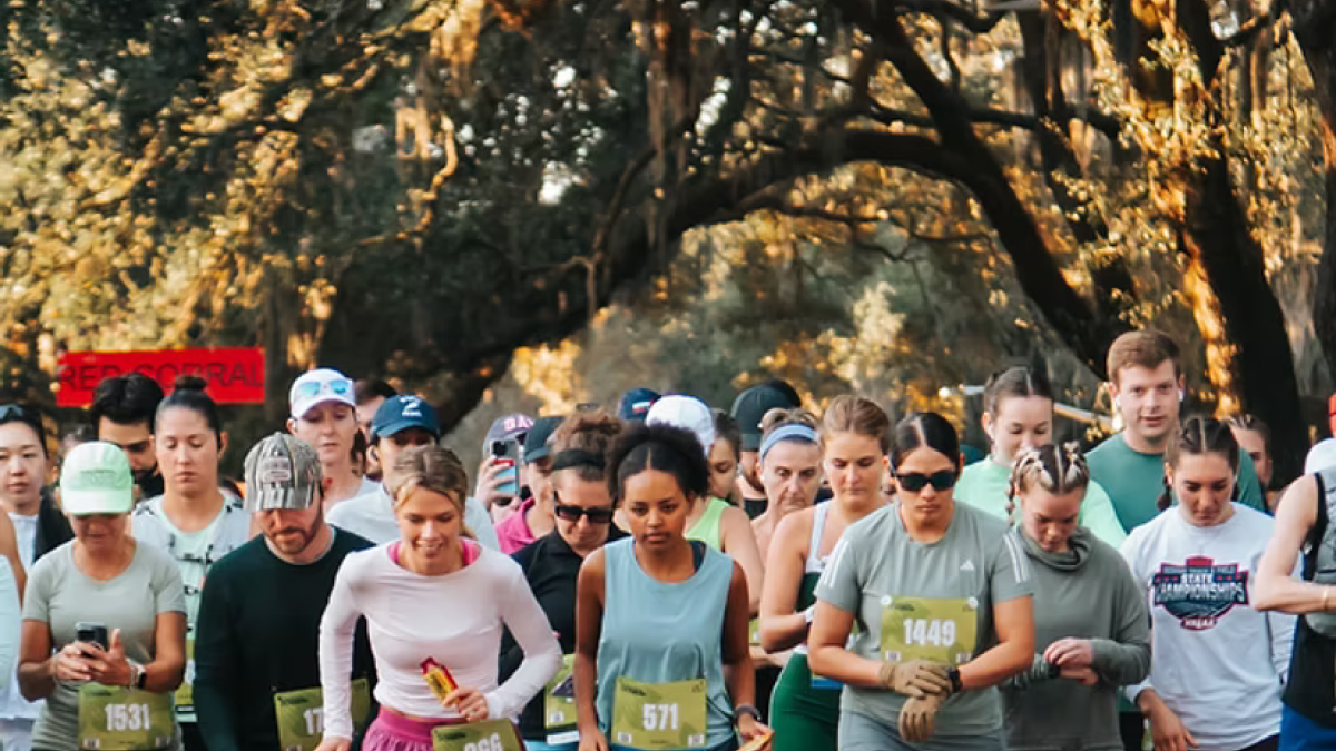 race start line under oak trees
