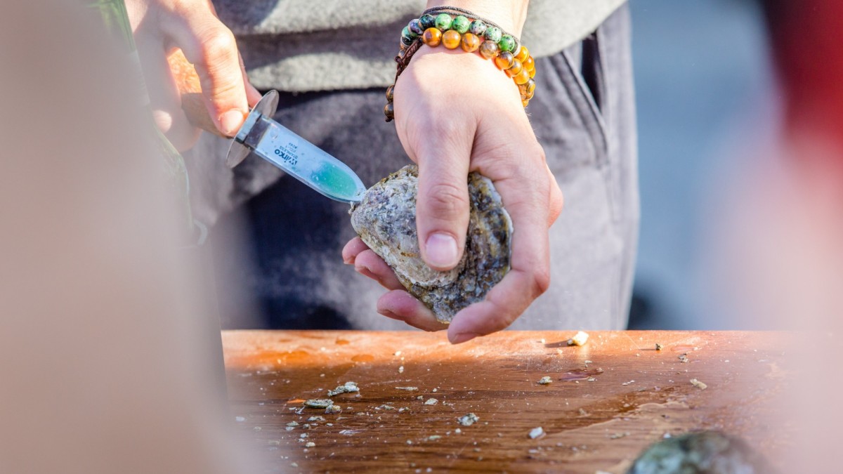 Savannah Oyster Roast Savannah Oyster Roast