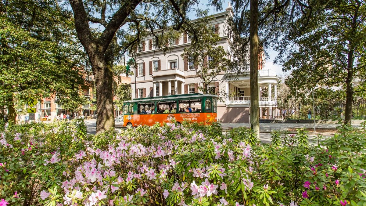 Springtime-Azaleas-in-Savannah.jpg