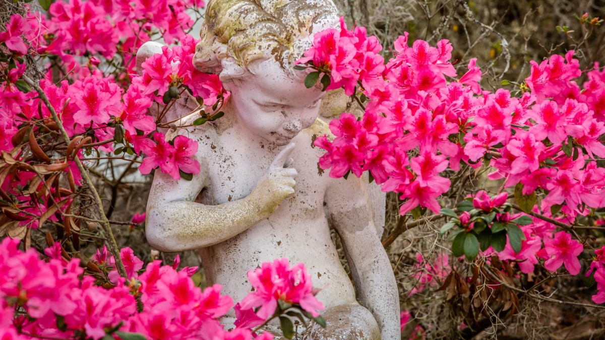 azaleas-bonaventure-cemetery7.jpg