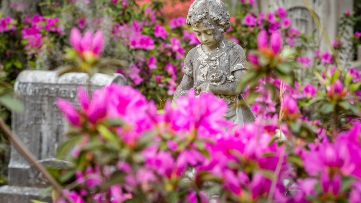 azaleas-bonaventure-cemetery10.jpg