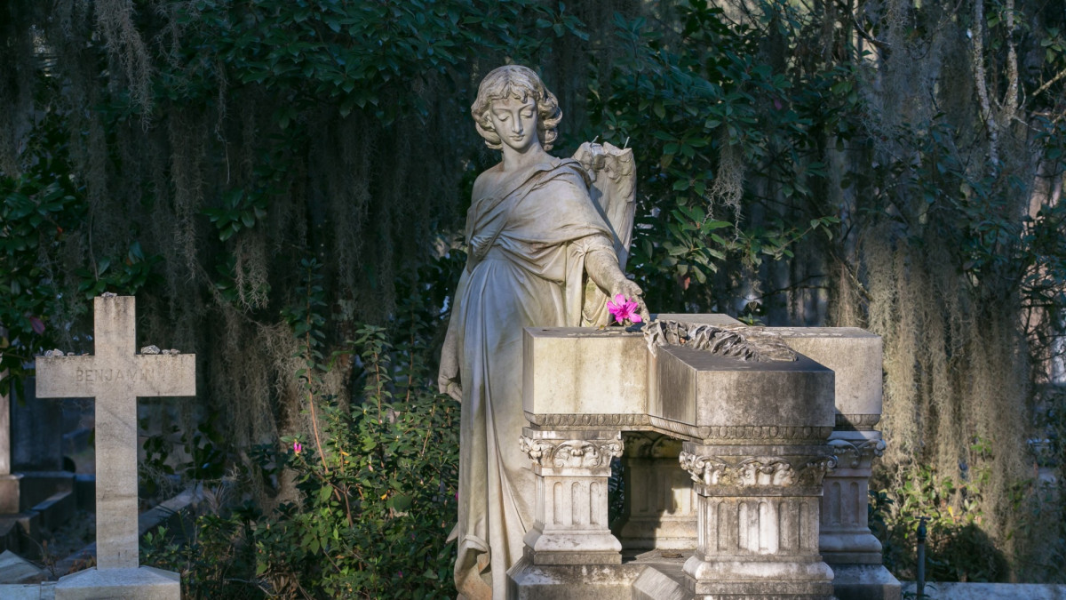 bonaventure_casey7118.jpg